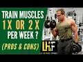 Train Each Muscle Once or Twice Per Week - Does It Really Matter