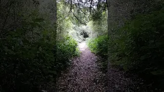 Https A Co D 0IZzPmT 