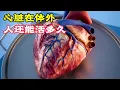 Lagu 如果把人的心臟，從身體取出，還可以活多久？科普動畫《強大的心臟》。電影，短片，成精，解說，搞笑，動畫，喜劇，獵奇，奇幻，腦洞，科幻，超能力，short film