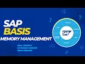 SAP BASIS -