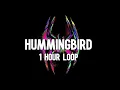 Download Lagu Metro Boomin, James Blake - Hummingbird [1 uur durende lus]