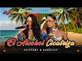 Estefany e Gabriely - El Alcohol Cicatriza  ( Bebida Na Ferida ) BREGA LATINO