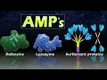 Antimicrobial Proteins and Peptides