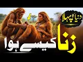 Zina Ki Ibtida Kesy Hui | Dunya Ka PehlaZina | Islamic History | Quranic Story