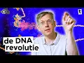 Download Lagu Wat DNA uit slootwater ons vertelt over jouw onbekende voorouders | VPRO Tegenlicht
