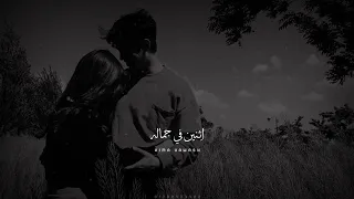 قلبي اتمناه    حالات واتس حب عمرو دياب            دندنها