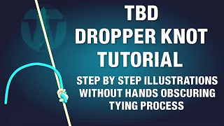 TBD Step by Step Illustration