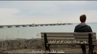 قلبي يحدثني بأنك متلفي   ابن الفارض دندنها