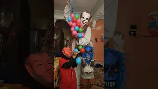 الكلب اللولو هو هو 