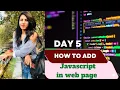 How to add JavaScript to Web Pages JavaScript Day 5 Web Development JS technicalmaamOfficial