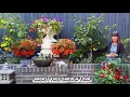 Download Lagu Flowers \u0026 Fruits In My Own Designed \u0026 Built Flower Bed | अगस्ट महिनाको गार्डेन टूर युके |