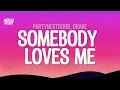 PARTYNEXTDOOR & DRAKE - SOMEBODY LOVES ME (Lyrics)