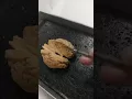 Sheep brain structures
