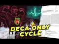 Echocardiogram Results Before And After Low Dose Deca Only Cycle