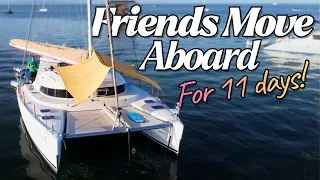 Caribbean Perspectives | EP134 HD 1080P