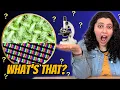 Microscope Guessing GAME Fun Science Activity Jocelyn Presents