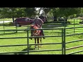 J C Martin light wade saddle evaluation with Smokie Brannaman