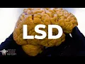 Download Lagu What LSD Does to the Brain