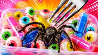We Found a REAL SPIDER in Candy From Another Dimension?!