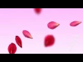 New Song Valentine's Day Haifa Wehbe Allaha Bahebik هيفاء وهبي قلها بحبك عيد الحب