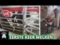 Download Lagu Koeien In De Robot Drukken - Lely