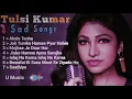 Lagu Tulsi Kumar sad Hindi songs (DJ Kaushik music world)