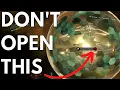 Don t open the Outer Gates - Stellaris Lore ACOT