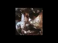 The Weeknd, Playboi Carti - Timeless (Official Audio)