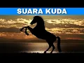 Download Lagu Efek Suara Kuda | Horse Sound Effects
