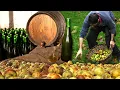 Download Lagu SIDRA artesana. Elaboración tradicional de esta bebida a partir de manzanas sidreras | Documental