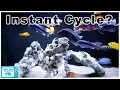 How to Cycle a Fish Tank FAST