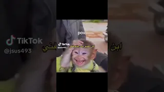  ابن اختي من يشوفني  الشعب الصيني ماله حل  لايك دندنها
