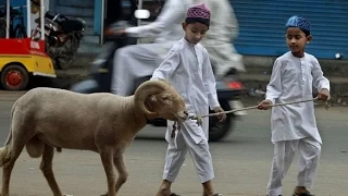 eid al adha idul adha 2016 hd karben