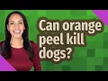 Can orange peel kill dogs
