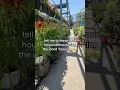 Download Lagu #fyp #tiktok #trending #relatable #viralshorts #foryou #shorts #funny