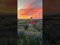 Download Lagu Iceland, where the sun never sets | Summer Solstice | Blue Lotus Vacations UK