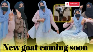 village girl slughter goat slughter process butcher 