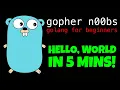 GOLANG HELLO WORLD IN 5 MINUTES - Go Tutorial for Beginners