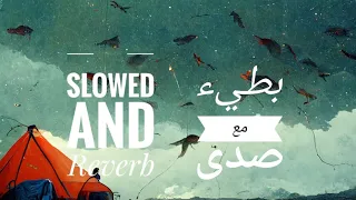 Amr Diab Qusad Einy عمرو دياب قصاد عيني Slowed And Reverb 