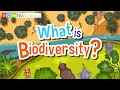 What is Biodiversity