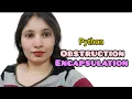 Python Encapsulation Abstraction Explained OOP Private Variables Getters Setters