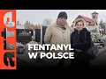 Download Lagu Polska: kryzys fentanylowy | ARTE.tv Dokumenty [CAŁY FILM LEKTOR PL]