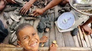 They Sell These for Big Money in Papua New Guinea