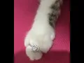 Pandora asil kalp Heart Ring