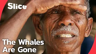 Lamalera’s Struggle to Survive : An Ancient Whale-Hunting Village in Crisis | SLICE