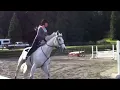 Cassini's Circo and Melissa at Cobblestone Farm