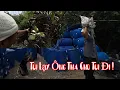 Download Lagu 10 Râu Chơi Lớn Dám Lấy Tổ Ong Dí Bà 8 Phong Chạy Xịt Xì Dầu