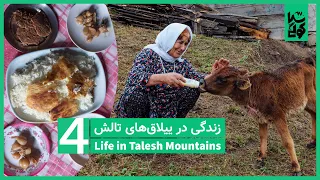 Country Life Vlog In Iran S Northern Mountains 4 ولاگ زندگی روستایی قسمت چهارم  Country Life Vlog In Iran S Northern Mountains 4 ولاگ زندگی روستایی قسمت چهارم
