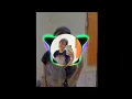 Download Lagu CACA_CACA MOHAMAT_BULA_(FLDI GLX REMIX)🎧
