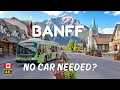 How to visit Banff without a car ROAM Transit Shuttles Local Tips 2026